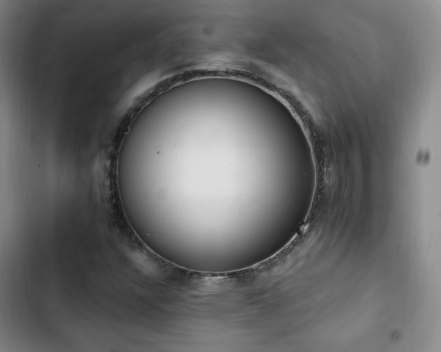 X0000103171304200808221225