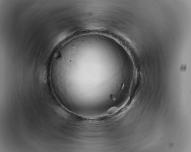 X0000103171306200808221225