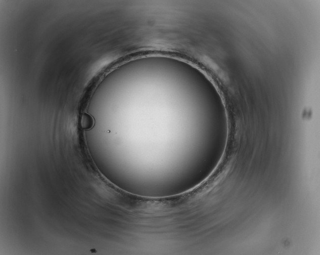 X0000103171307200808221225