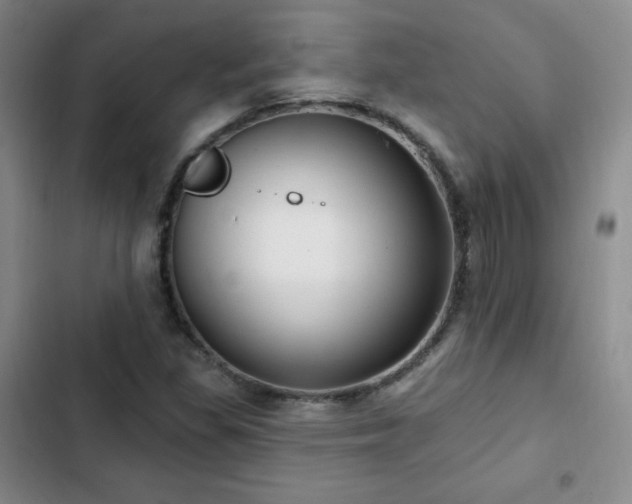 X0000103171309200808221225
