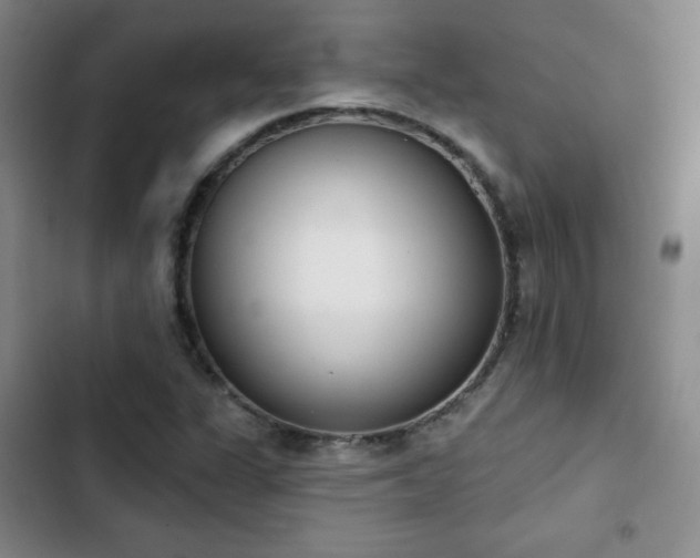 X0000103171311200808221225