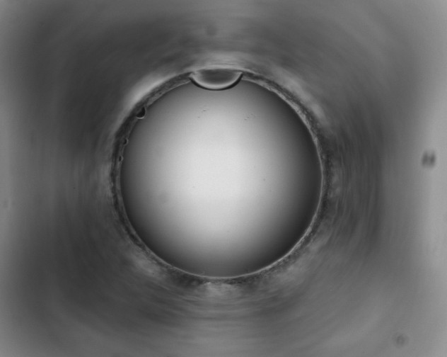 X0000103171312200808221225