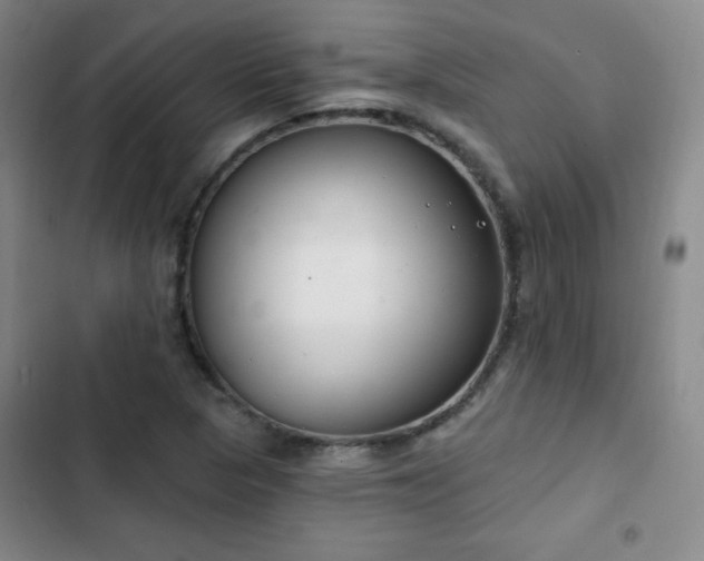 X0000103171313200808221225