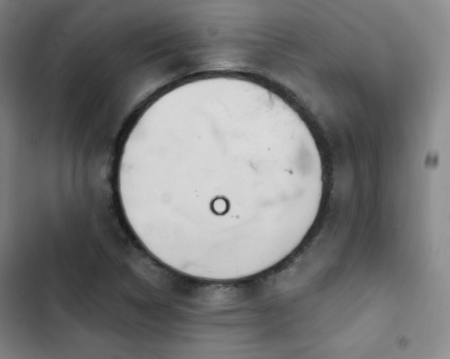 X0000103171314200808221225