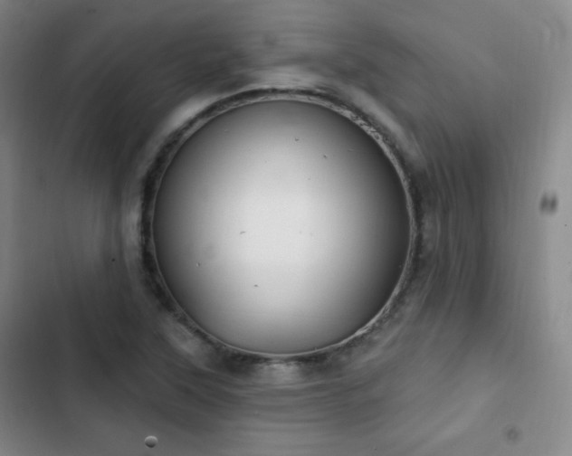 X0000103171315200808221225
