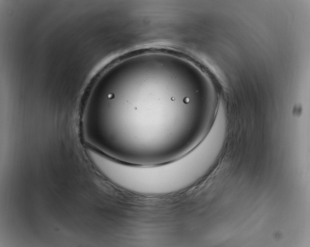 X0000103171316200808221225