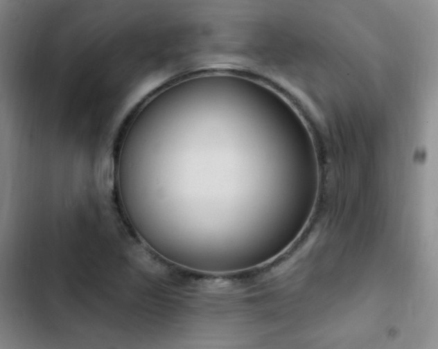 X0000103171317200808221225