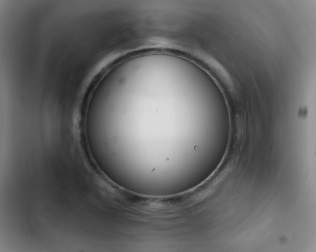 X0000103171318200808221225