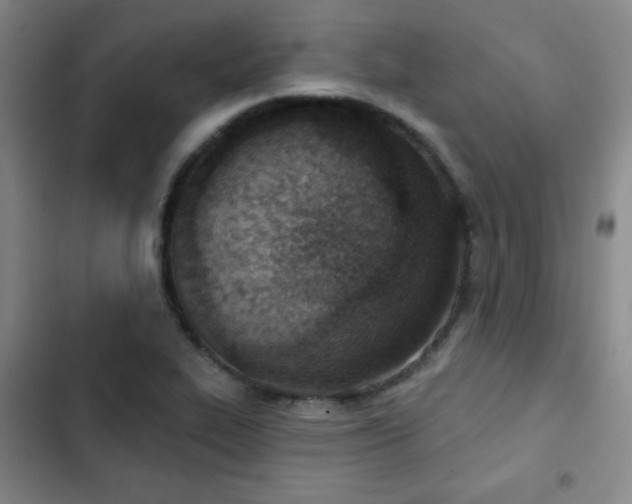 X0000103171319200808221225