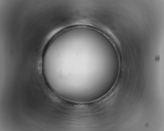 X0000103171320200808221225