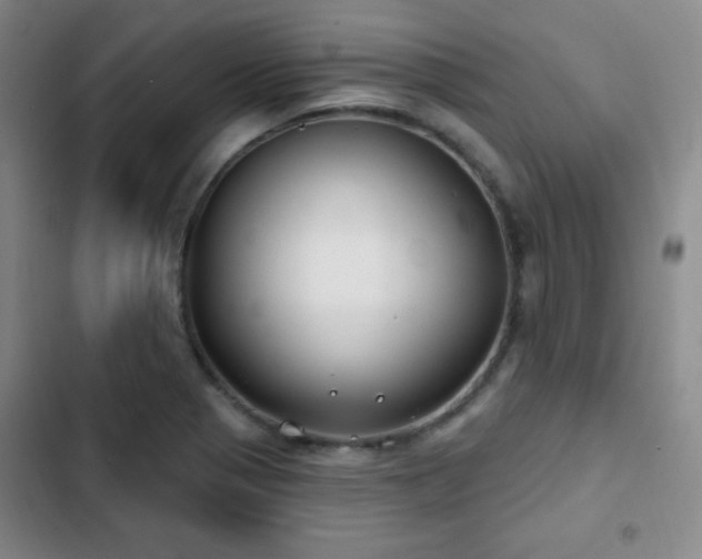 X0000103171321200808221225