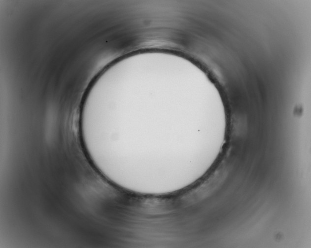 X0000103171322200808221225