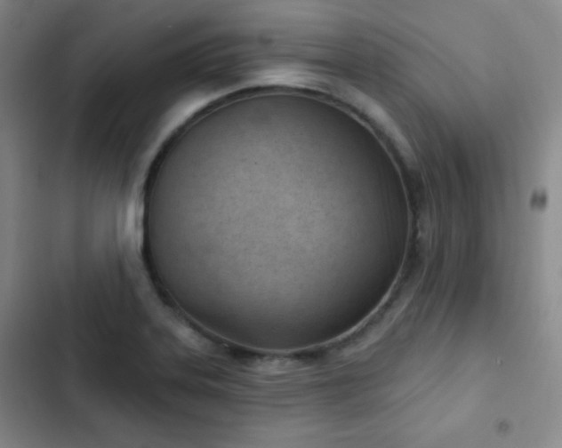 X0000103171323200808221225