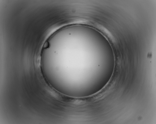 X0000103171324200808221225