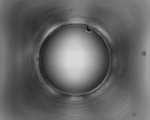 X0000103171325200808221225