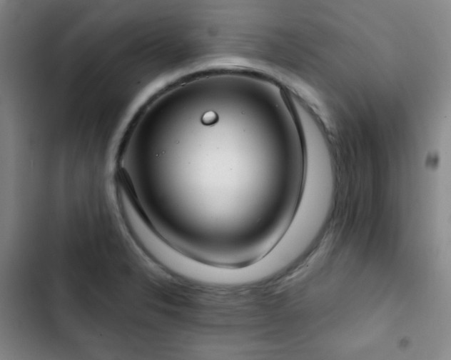 X0000103171326200808221225