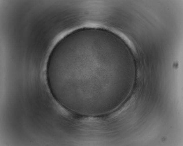 X0000103171327200808221225