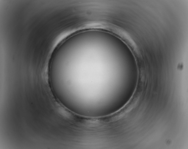 X0000103171328200808221225