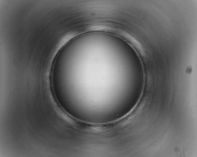 X0000103171330200808221225