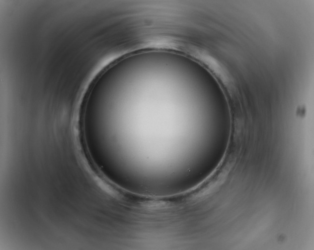 X0000103171331200808221225