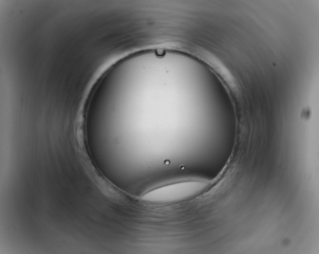 X0000103171332200808221225