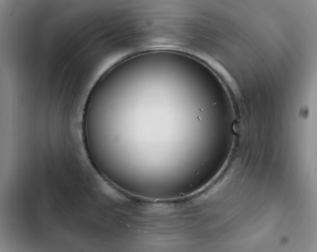 X0000103171333200808221225