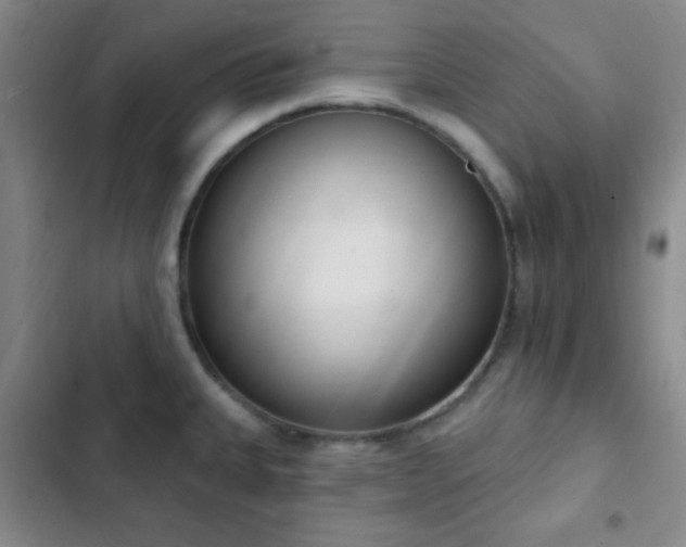 X0000103171335200808221225