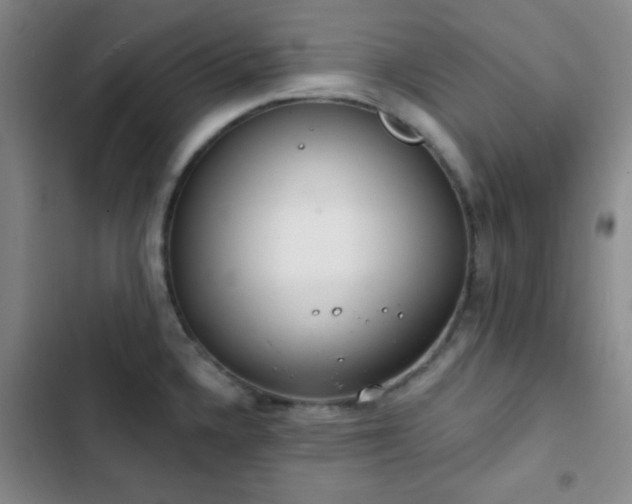 X0000103171336200808221225