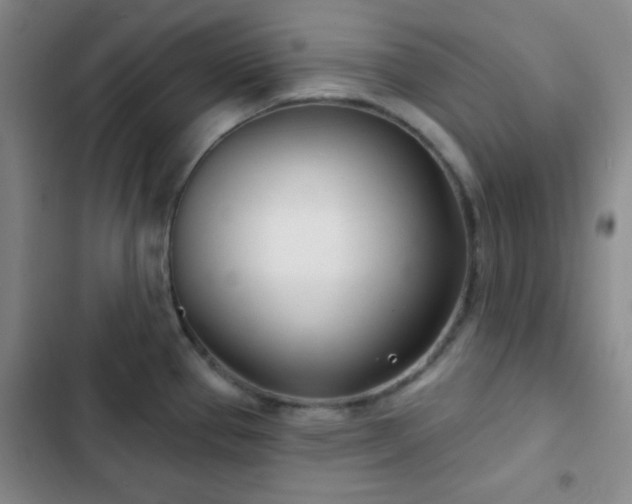 X0000103171337200808221225