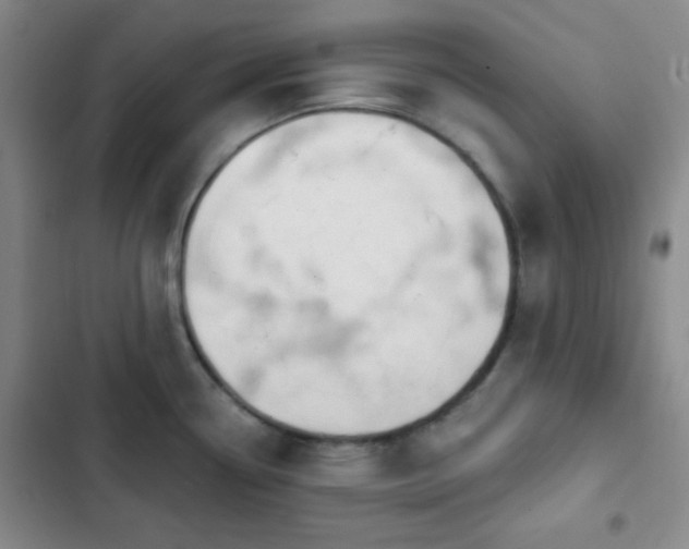 X0000103171338200808221225