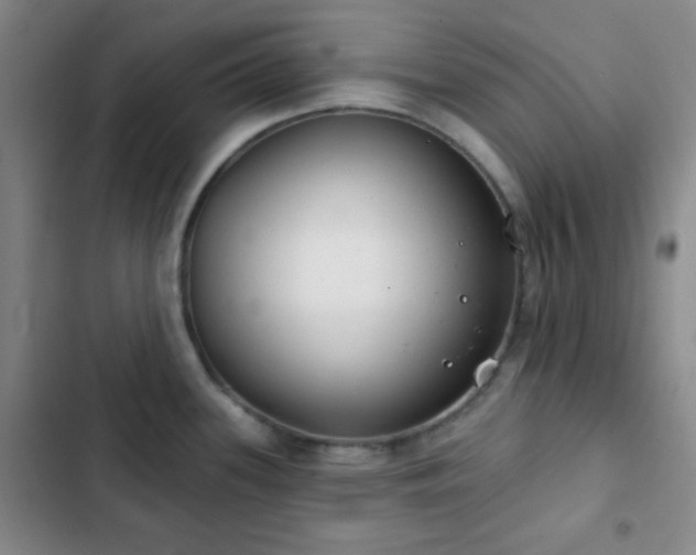 X0000103171339200808221225