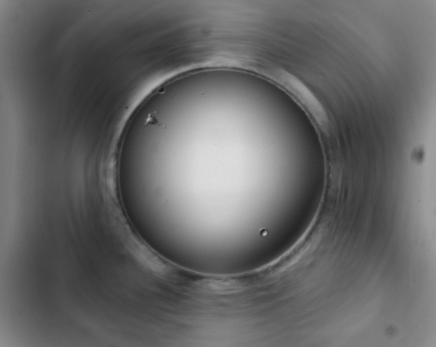 X0000103171340200808221225
