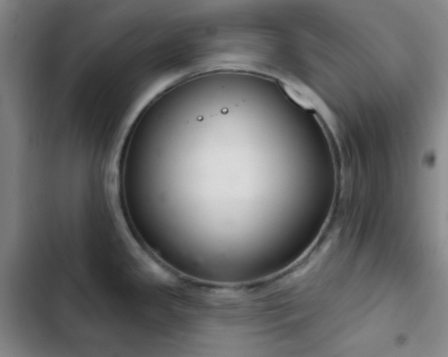 X0000103171341200808221225