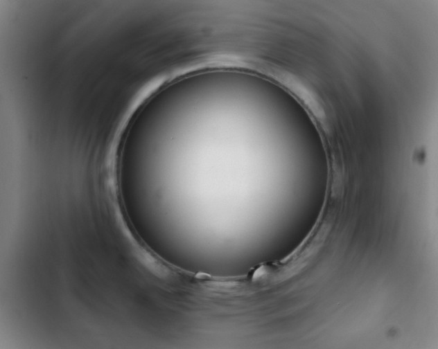 X0000103171342200808221225