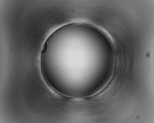 X0000103171343200808221225