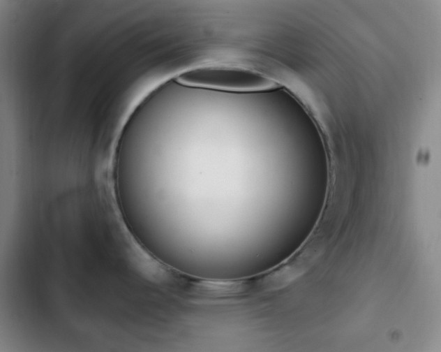 X0000103171344200808221225