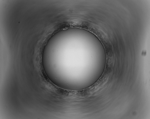 X0000103171345200808221225