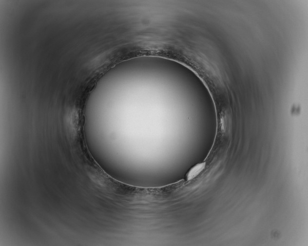X0000103171347200808221225