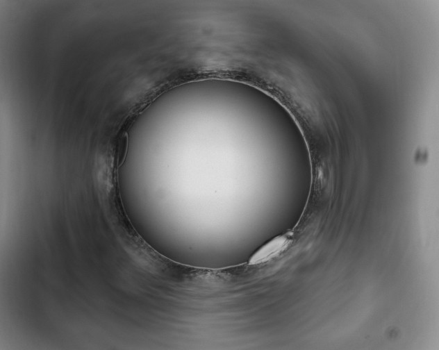 X0000103171348200808221225