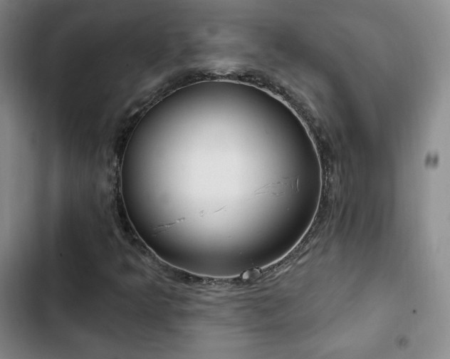 X0000103171349200808221225