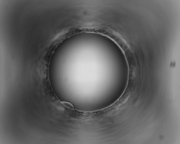 X0000103171350200808221225