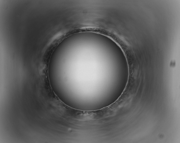 X0000103171351200808221224