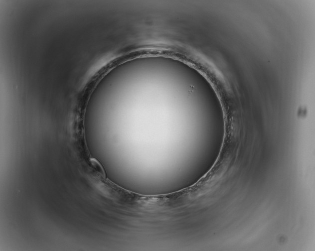 X0000103171352200808221224