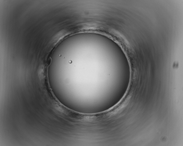 X0000103171353200808221224