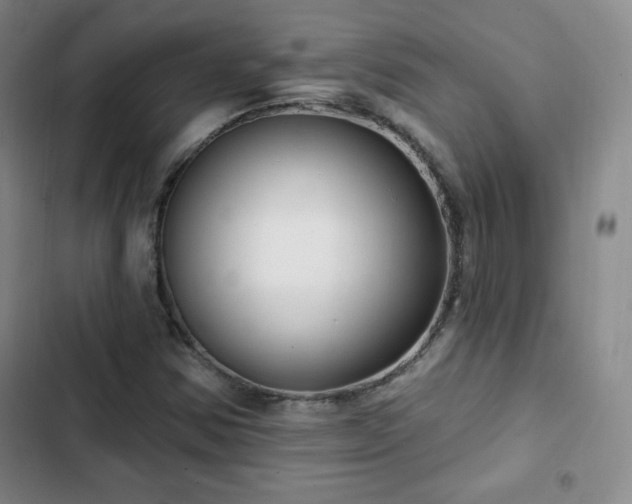 X0000103171354200808221224