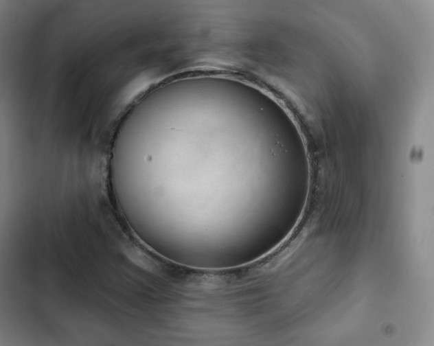 X0000103171355200808221224