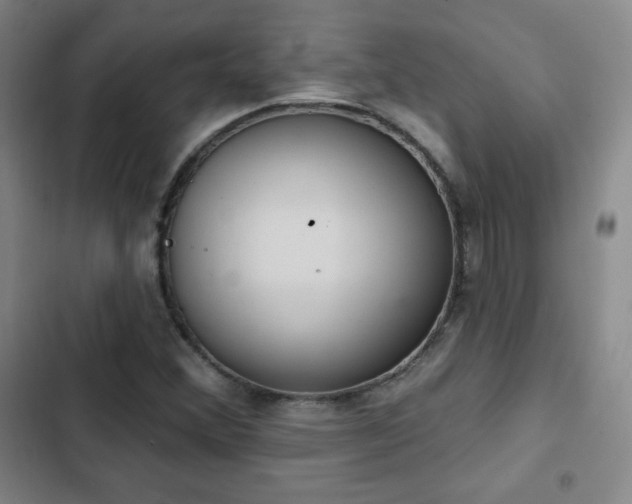 X0000103171356200808221224