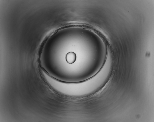 X0000103171357200808221224