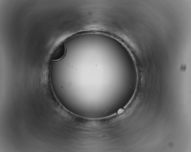 X0000103171358200808221224