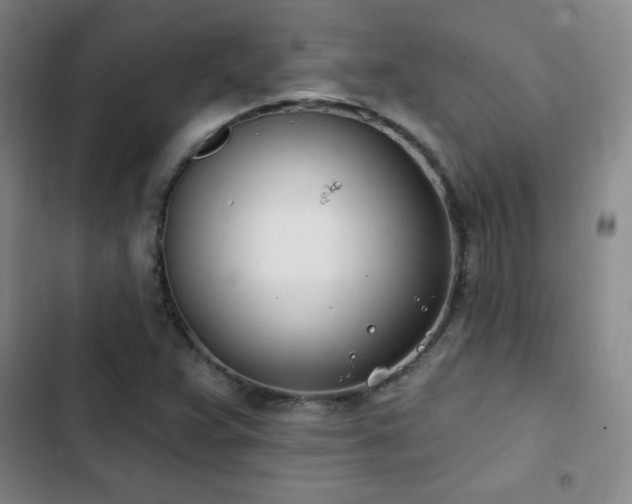 X0000103171359200808221224